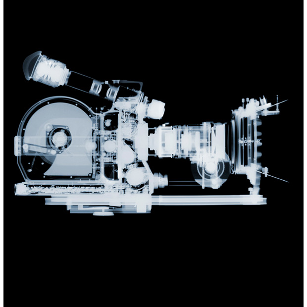 their blurry stills in a